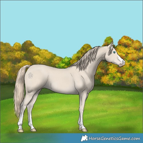 Horse Color:Smoky Creme