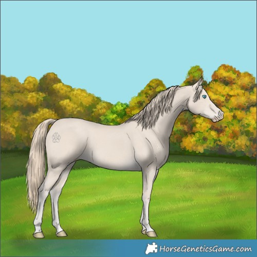 Horse Color:Smoky Creme 