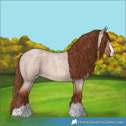 Horse Color:Red Dun Roan
