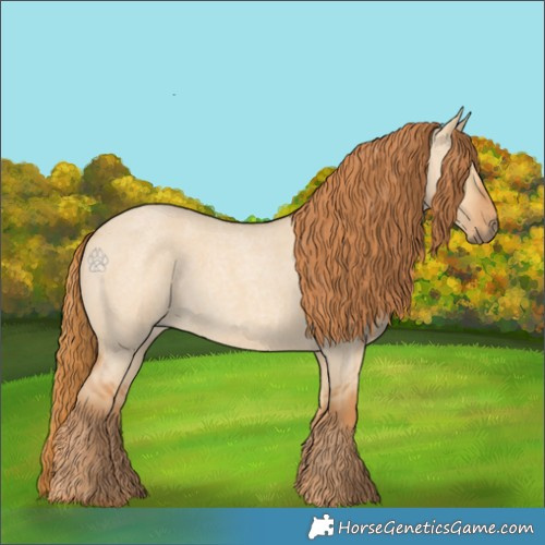 Horse Color:Red Dun Roan 