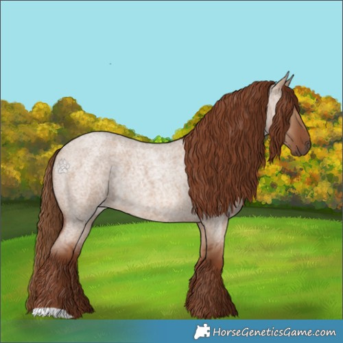 Horse Color:Red Dun Roan 