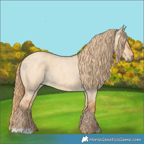 Horse Color:Red Dun Roan