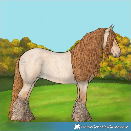 Horse Color:Red Dun Roan 