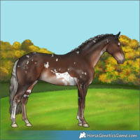 Horse Color:White Spotted Liver Chestnut Mushroom Tobiano 