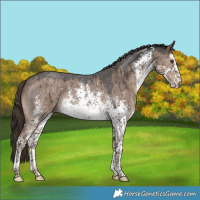 Horse Color:White Spotted Liver Red Dun Sabino Brindle 
