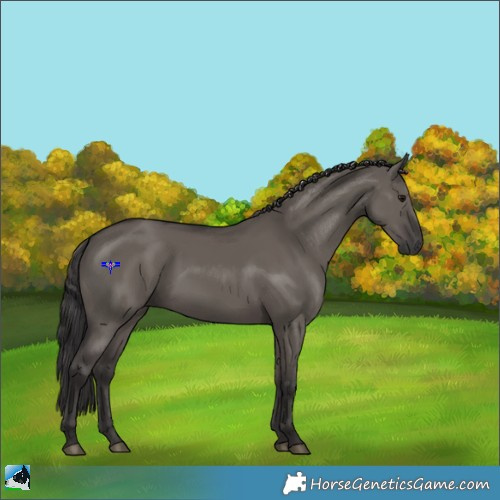 Horse Color:Smoky Grullo Mushroom Rabicano 