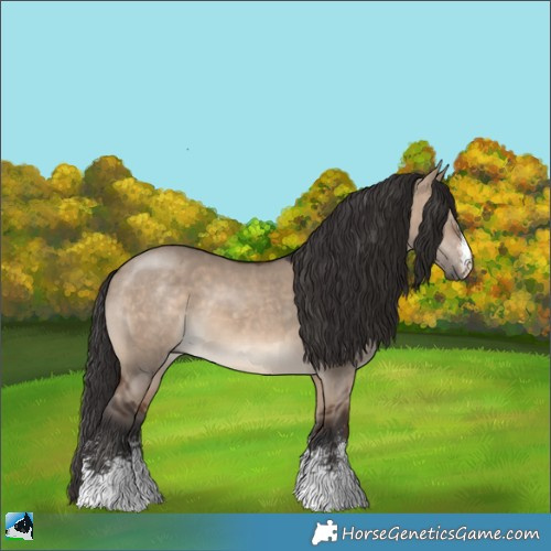 Horse Color:Brown Dun Sabino 