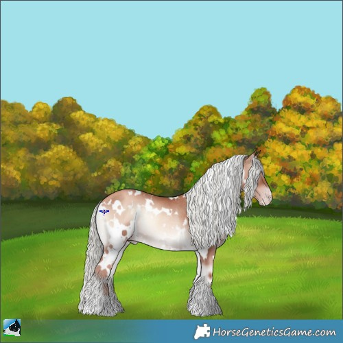 Horse Color:White Spotted Gold Champagne Onyx Mushroom Rabicano 