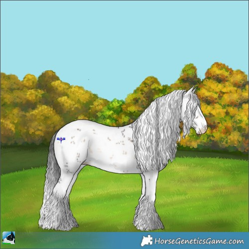 Horse Color:White Spotted Brown Onyx Mushroom Sabino Rabicano 