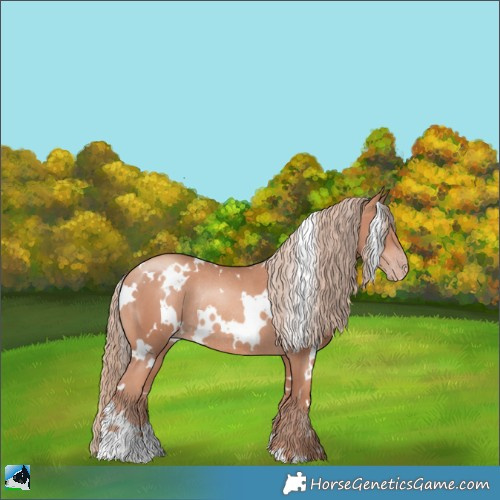 Horse Color:White Spotted Gold Champagne Rabicano 