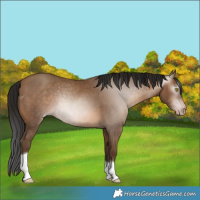 Horse Color:Gray Amber Champagne Tobiano 