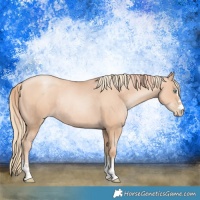 Horse Color:Gold Champagne Pearl Rabicano  and Gold Champagne Pearl Rabicano 