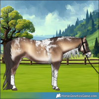 Horse Color:Liver Red Onyx Tobiano Rabicano 