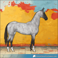Horse Color:Liver Red Roan 