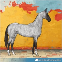 Horse Color:Liver Red Roan 