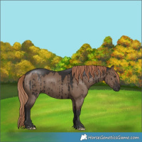 Horse Color:Liver Red Dun Tobiano Rabicano Brindle 