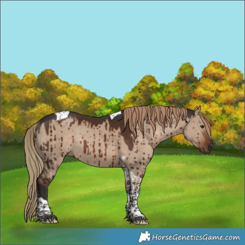 Horse Color:Liver Red Dun Tobiano Rabicano Brindle 