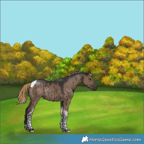 Horse Color:Liver Red Dun Tobiano Rabicano Brindle 