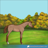 Horse Color:Red Dun 