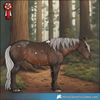 Horse Color:White Spotted Silver Brown 