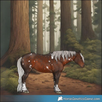 Horse Color:White Spotted Silver Brown Tobiano 