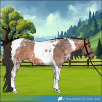 Horse Color:Bay Ice Tobiano 