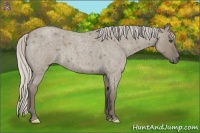 Horse Color:Silver Smoky Grullo Roan Frame 
