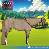 Horse Color:Liver Red Dun Brindle 