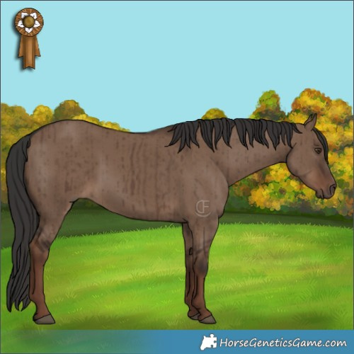 Horse Color:Liver Red Dun Brindle 