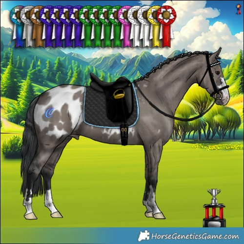 Horse Color:Grullo Appaloosa Brindle 