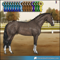 Horse Color:Brown Dun Varnish Brindle 