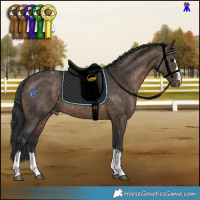 Horse Color:Brown Dun Appaloosa Brindle