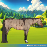 Horse Color:Bay Dun Brindle 