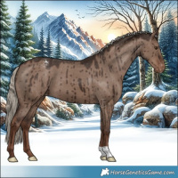 Horse Color:Liver Red Dun Mushroom Varnish Brindle 