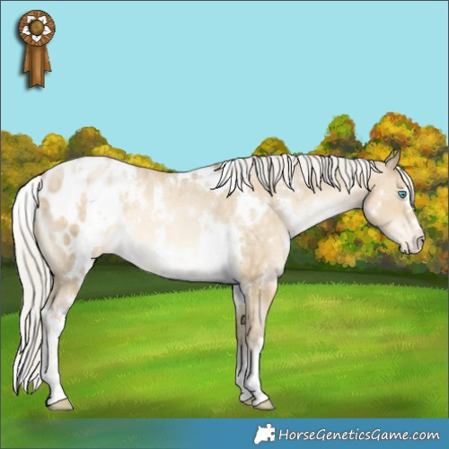 Horse Color:White Spotted Silver Buckskin Pearl Dun Appaloosa Rabicano