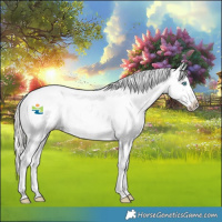Horse Color:White Spotted Cremello Near Fewspot 