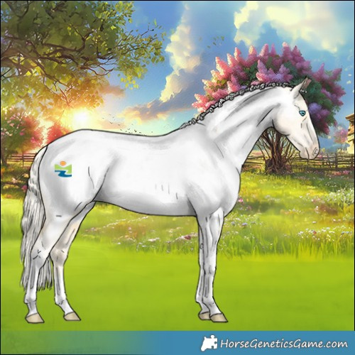 Horse Color:Palomino Pearl Tobiano Appaloosa 