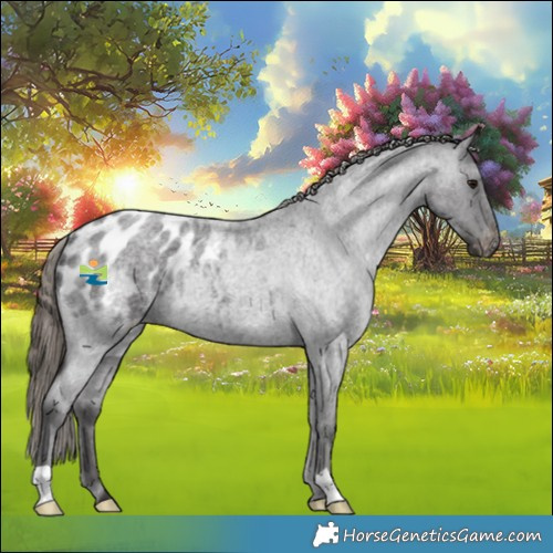 Horse Color:Smoky Blue Roan Appaloosa Rabicano 
