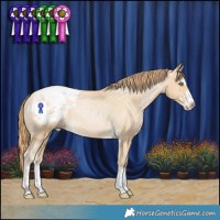 Horse Color:Smoky Black Pearl Appaloosa Rabicano 