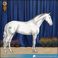 Horse Color:Cremello Appaloosa Rabicano 