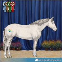 Horse Color:Smoky Creme Appaloosa Rabicano