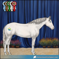 Horse Color:Smoky Creme Appaloosa Rabicano 