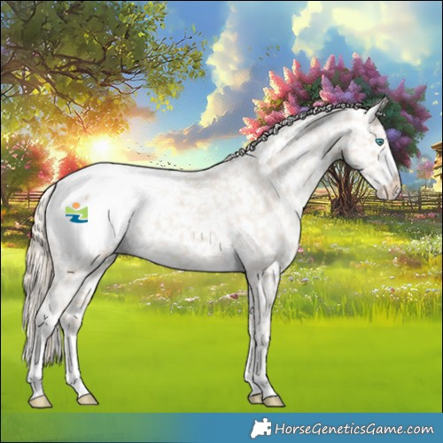 Horse Color:Smoky Creme Appaloosa Rabicano 