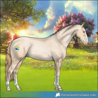 Horse Color:Smoky Black Pearl Appaloosa Rabicano 
