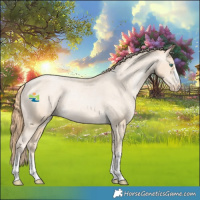 Horse Color:Smoky Black Pearl Appaloosa Rabicano 