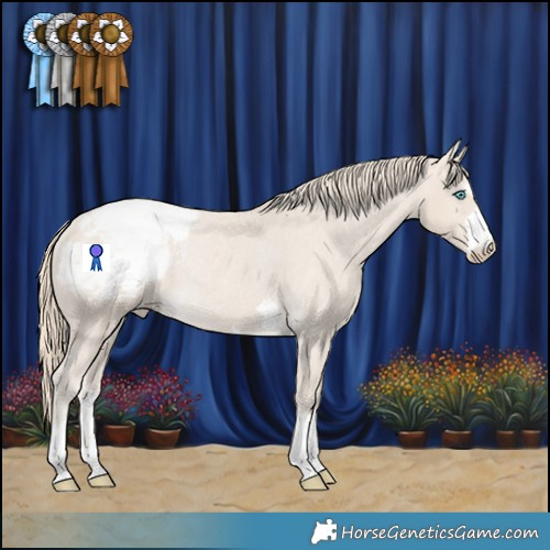 Horse Color:Smoky Creme Appaloosa Rabicano 