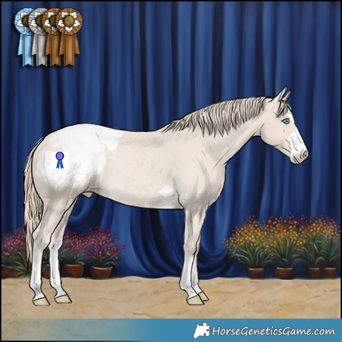 Horse Color:Smoky Creme Appaloosa Rabicano 