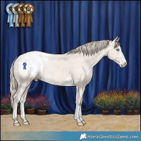 Horse Color:Smoky Creme Snowcap Rabicano