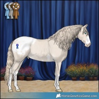 Horse Color:Smoky Creme Appaloosa Rabicano