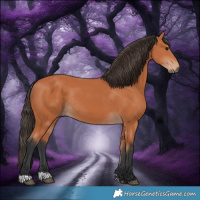 Horse Color:Bay Rabicano 